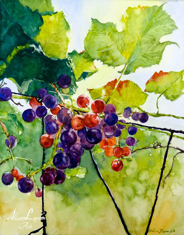 Sun Ripened Sun Ripened