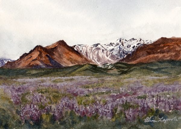 Lavender Mountains